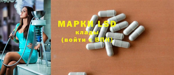 прущие грибы Богородицк