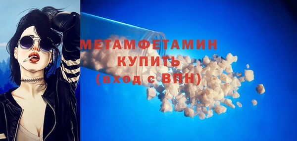 прущие грибы Богородицк