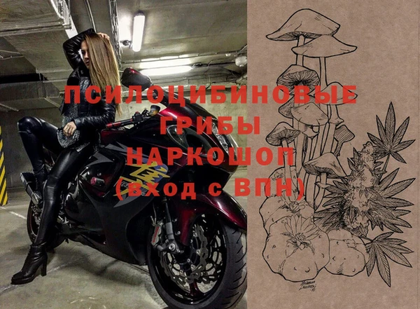 твердый Богданович