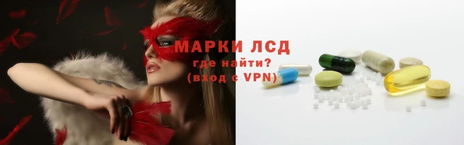 прущие грибы Богородицк