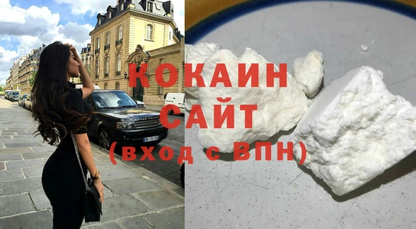прущие грибы Богородицк