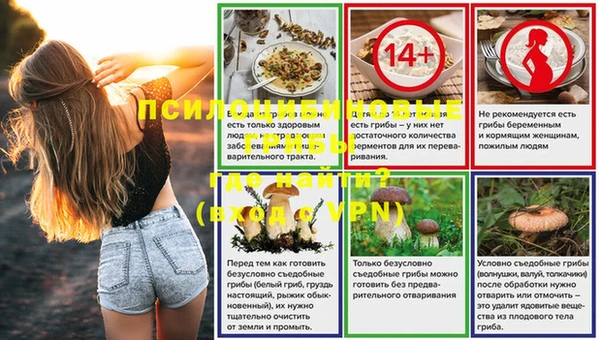 амф Белокуриха
