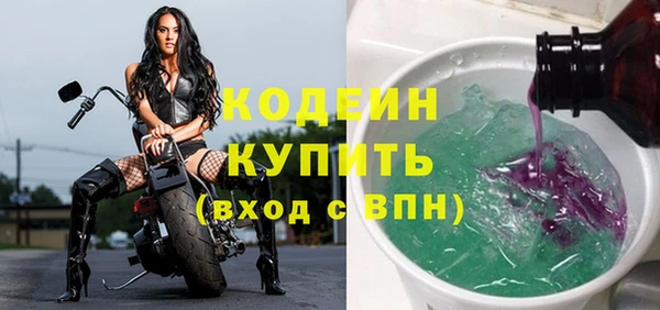 индика Переславль-Залесский