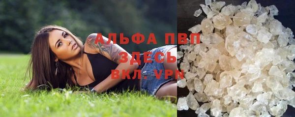 твердый Богданович